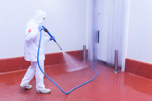 Best Winterizing Services  in Vidalia, LA